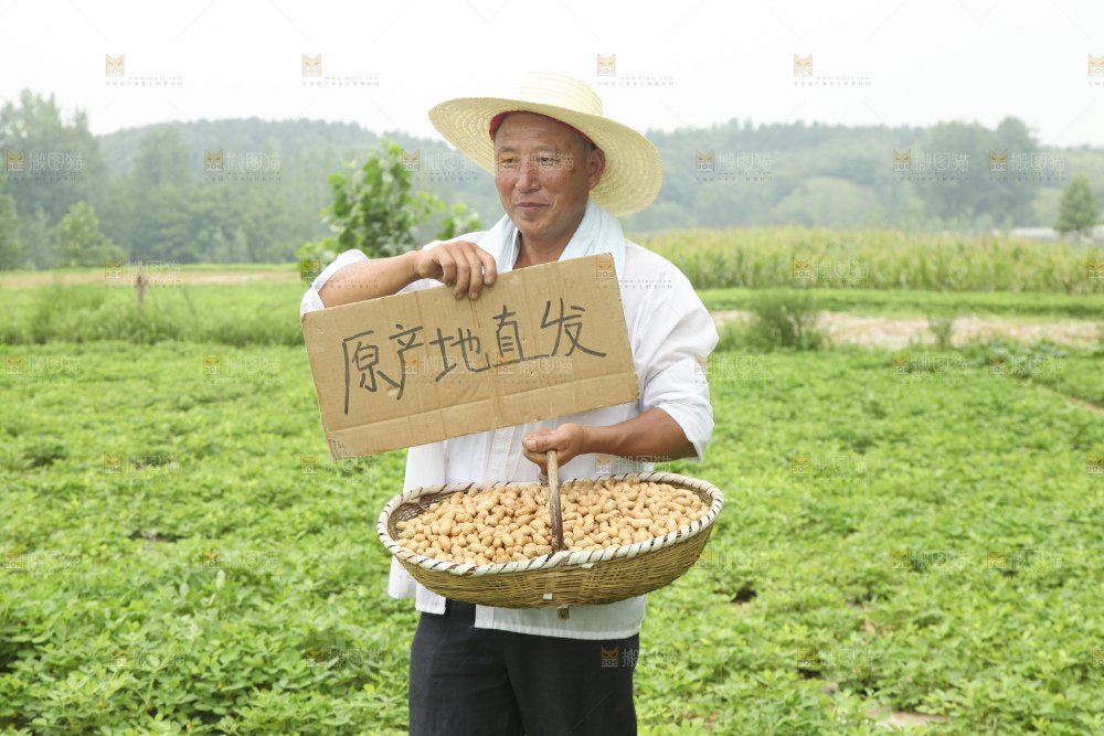 手里拿着现挖花生