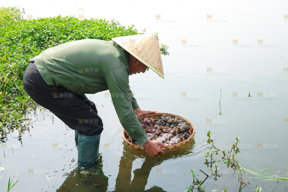 手里拿着阳澄湖大闸蟹