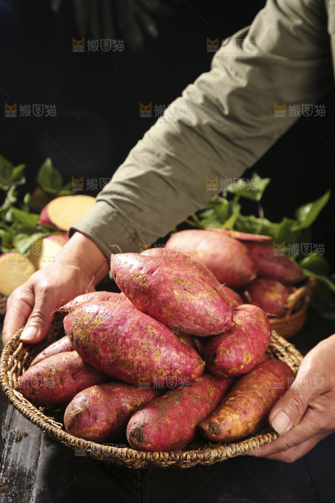 深底上的板栗红薯