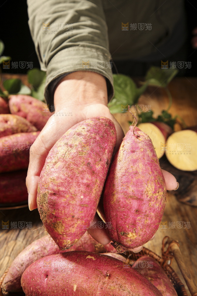 深底上的板栗红薯
