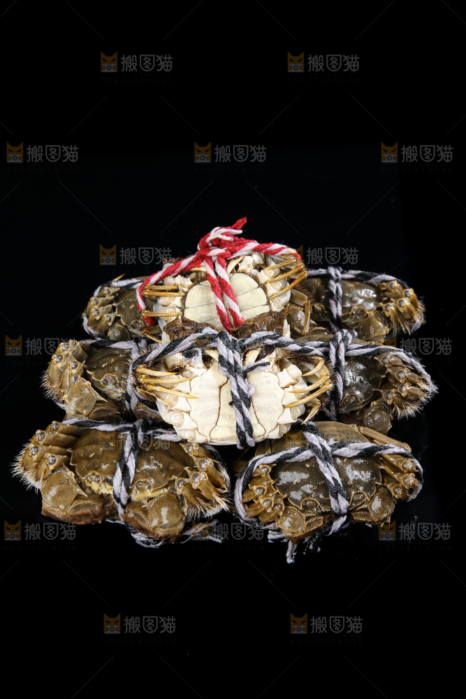 黑底上的鲜活大闸蟹