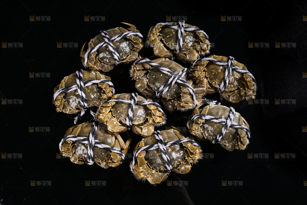 黑底上的鲜活大闸蟹