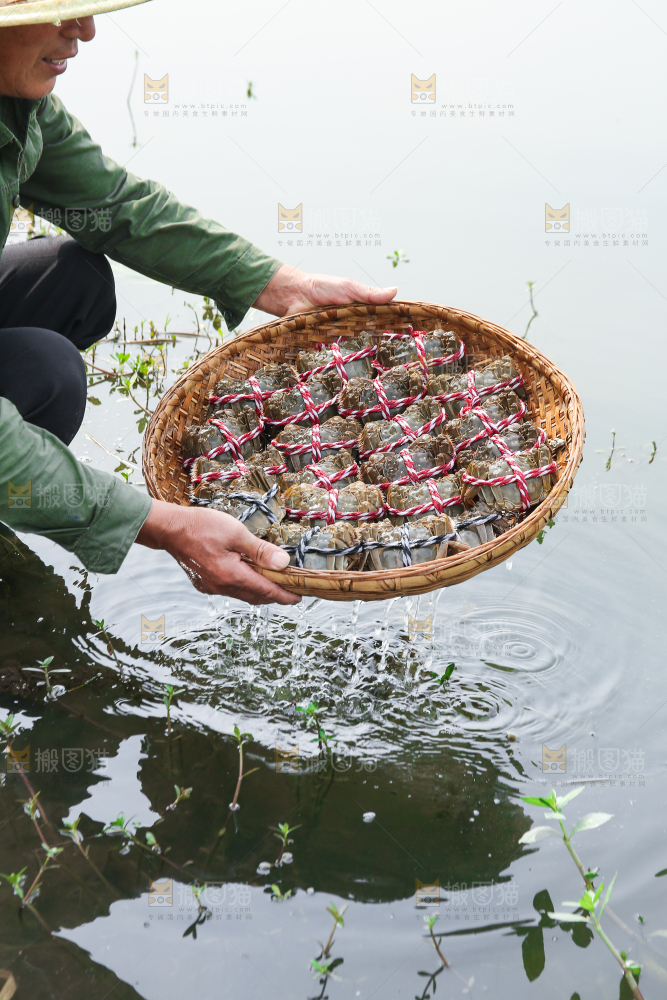 手里拿着阳澄湖大闸蟹