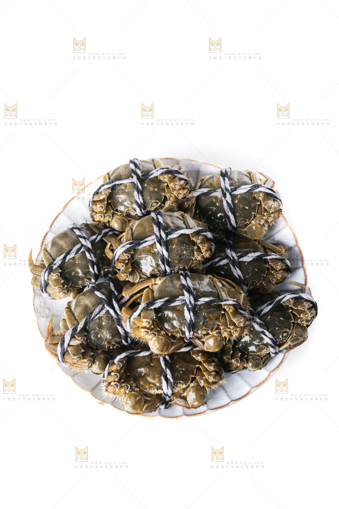 白底上的大闸蟹