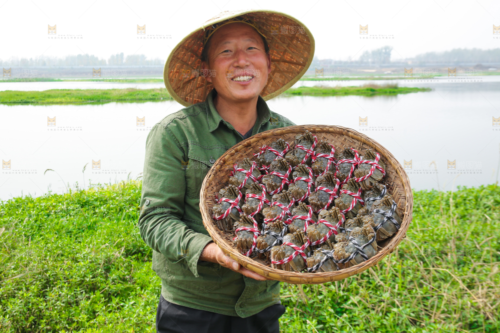 手里拿着阳澄湖大闸蟹