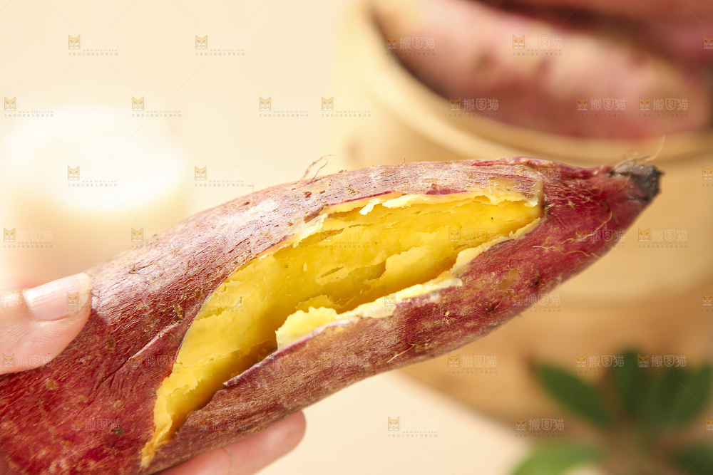 深底上的板栗红薯