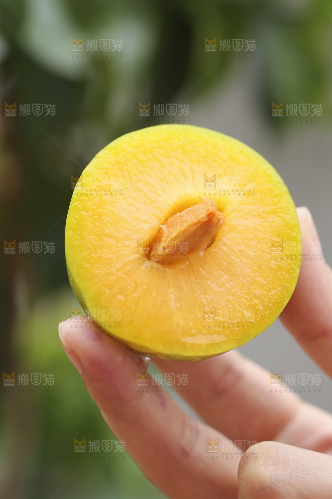 手里拿着恐龙蛋李子