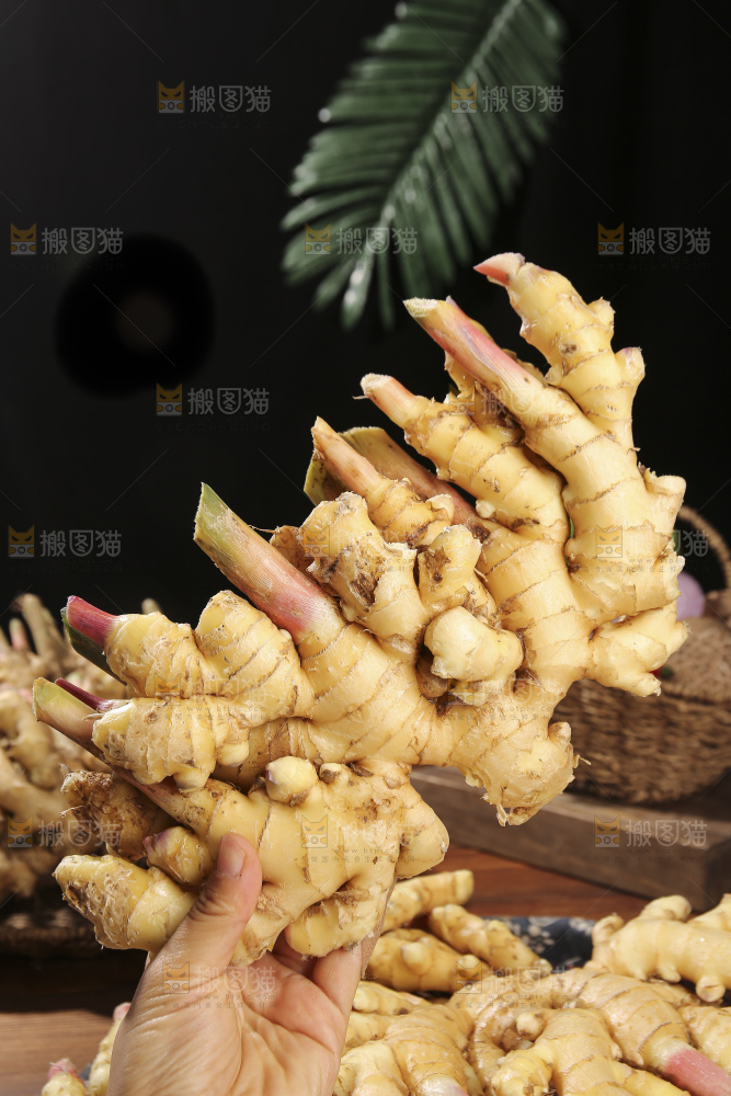 木底上的新鲜小黄姜