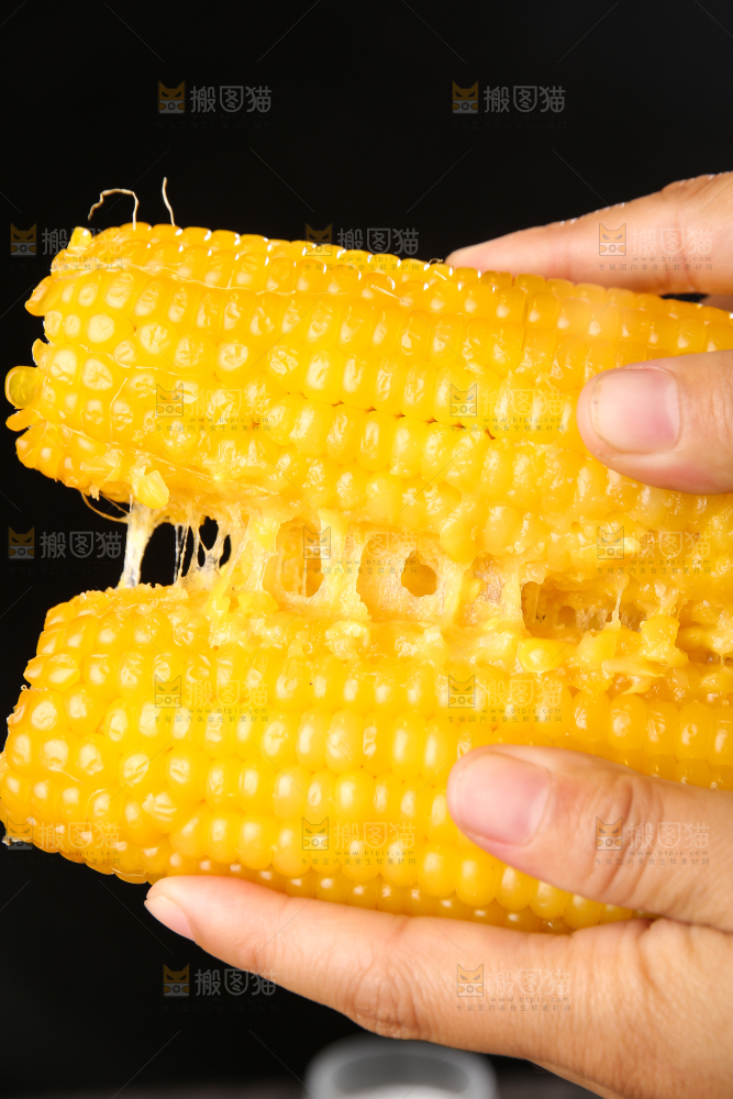 深底上的黄糯玉米