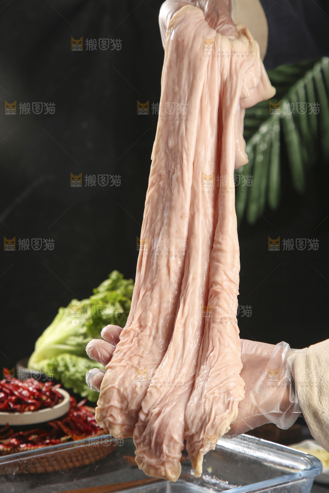 深底上的新鲜猪大肠