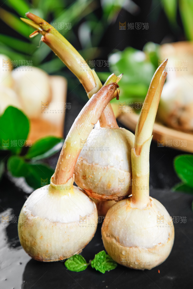 黑石板上放着白茨菇