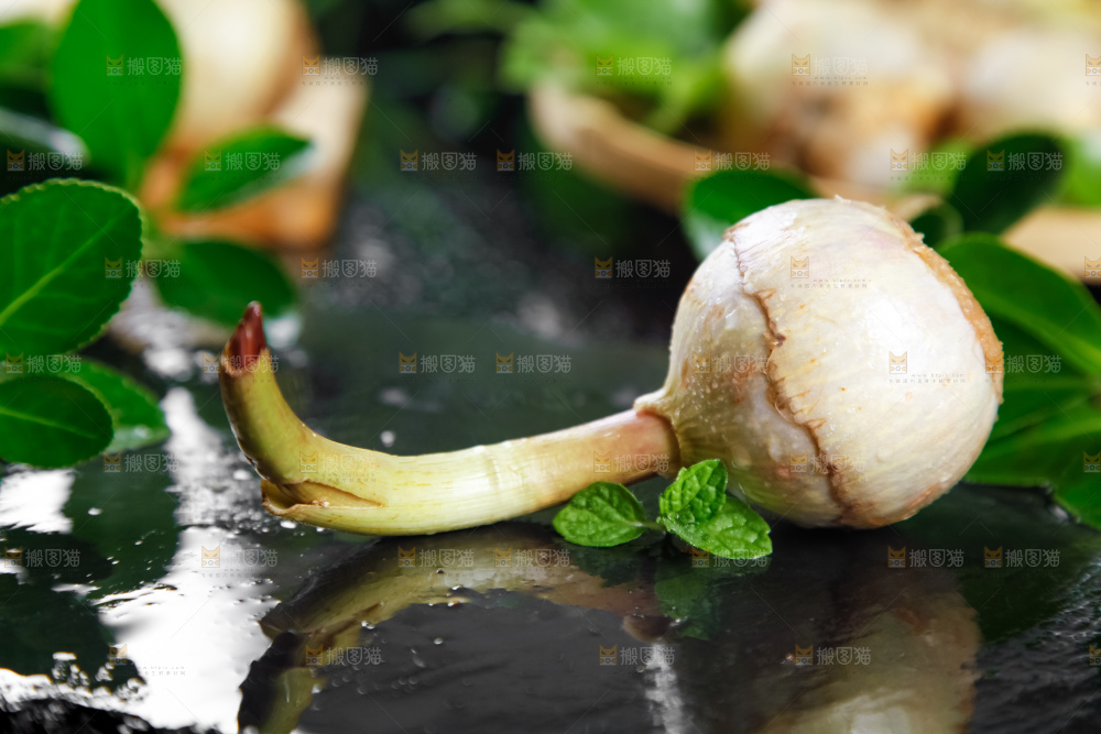 黑石板上放着白茨菇
