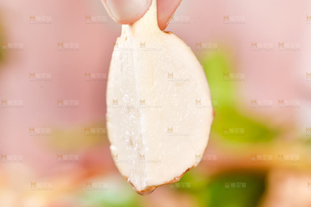 手里拿着切开的白茨菇