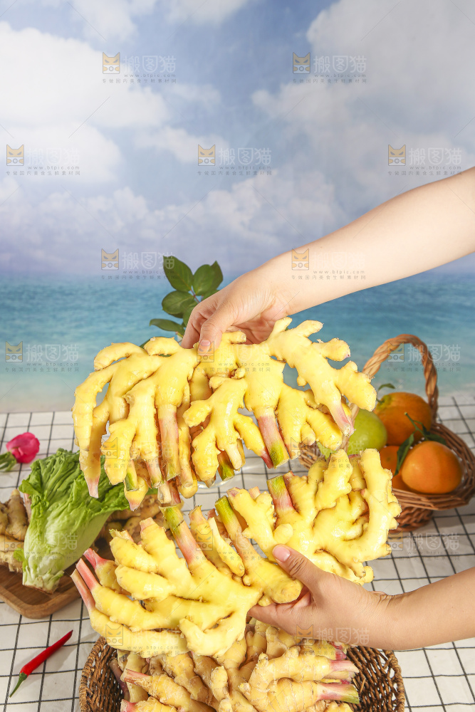 浅底上的小黄姜