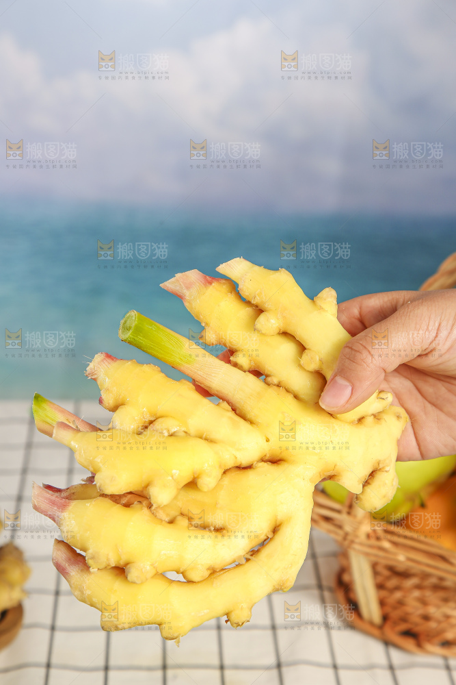 浅底上的小黄姜