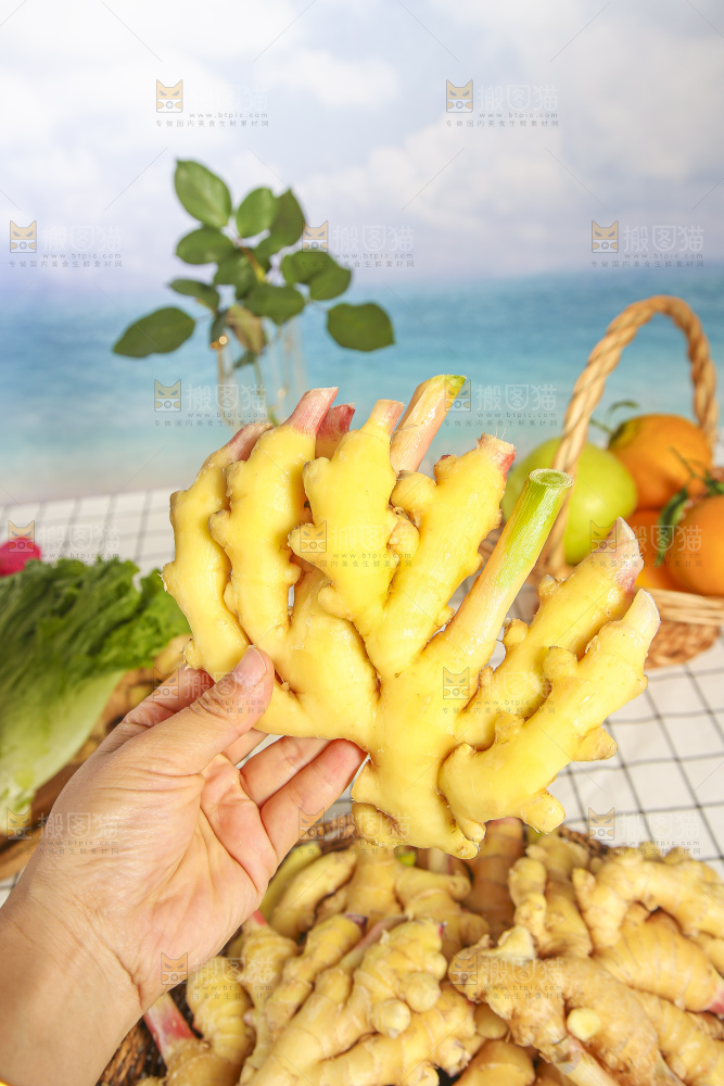 浅底上的小黄姜