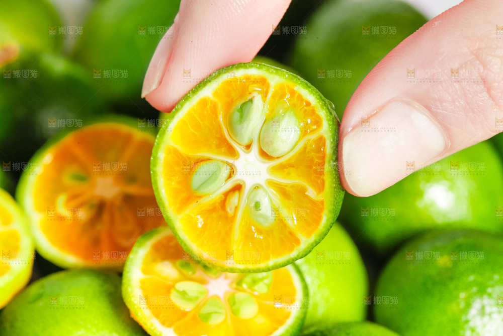 手里拿着海南小金桔