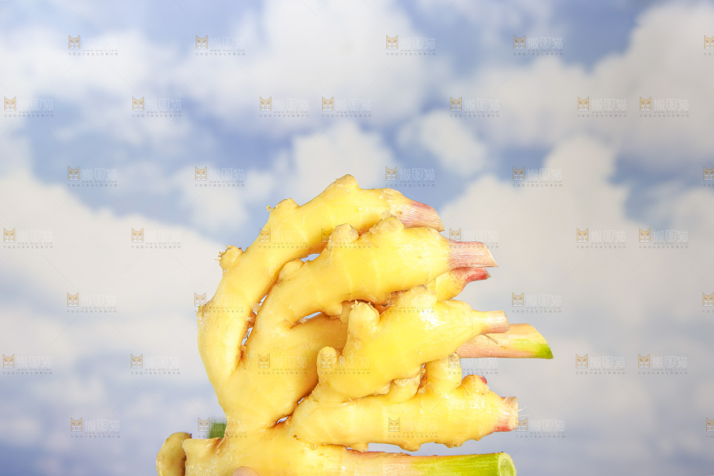 浅底上的小黄姜