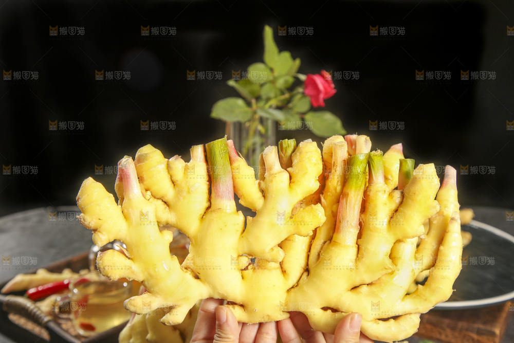 深底上的小黄姜