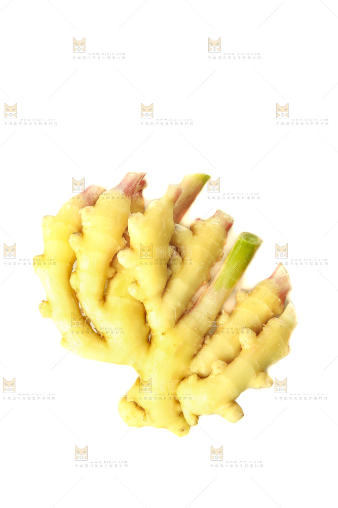 白底上的小黄姜