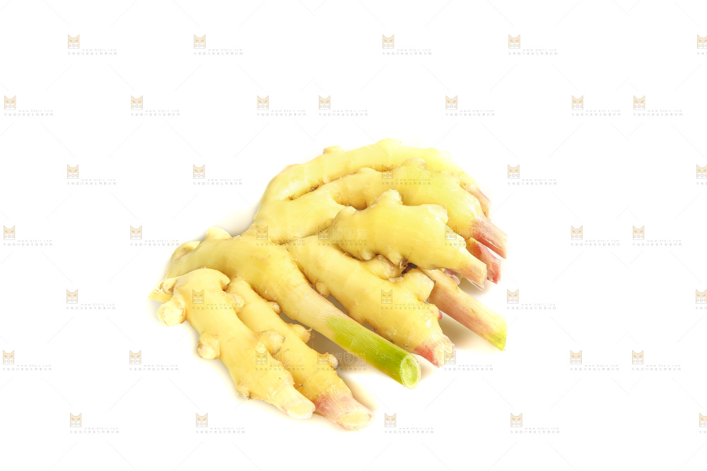 白底上的小黄姜
