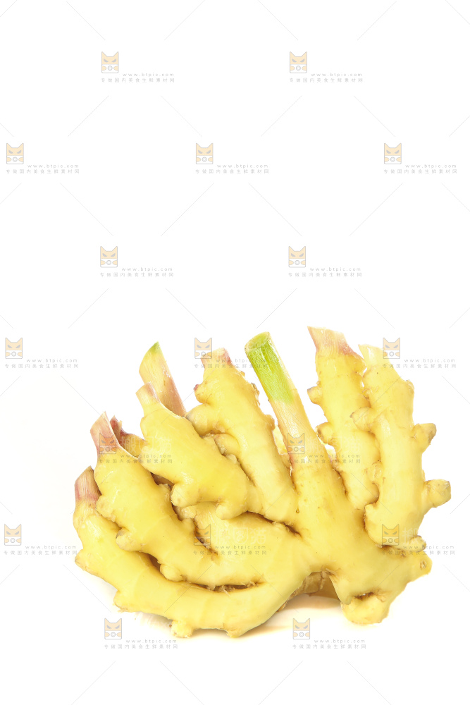 白底上的小黄姜