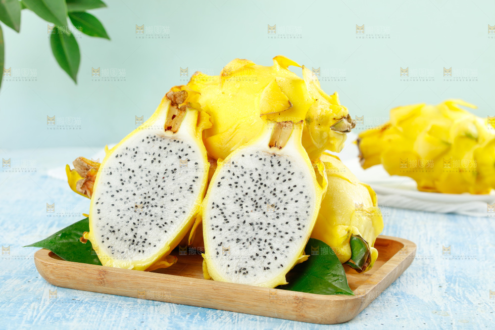 浅底上的黄皮火龙果