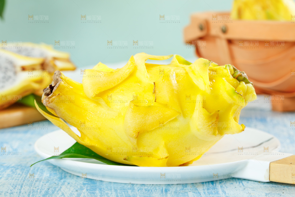 浅底上的黄皮火龙果