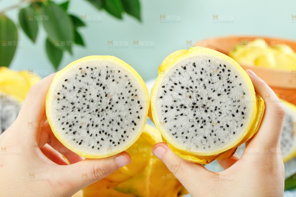 浅底上的黄皮火龙果