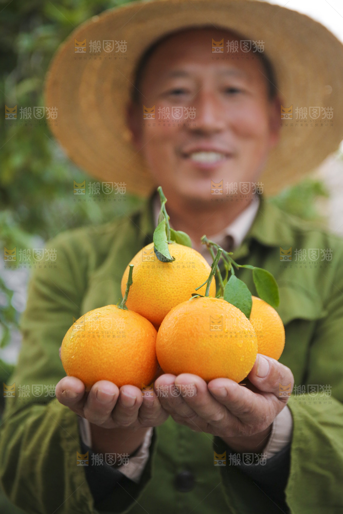 手里拿着爱媛果冻橙
