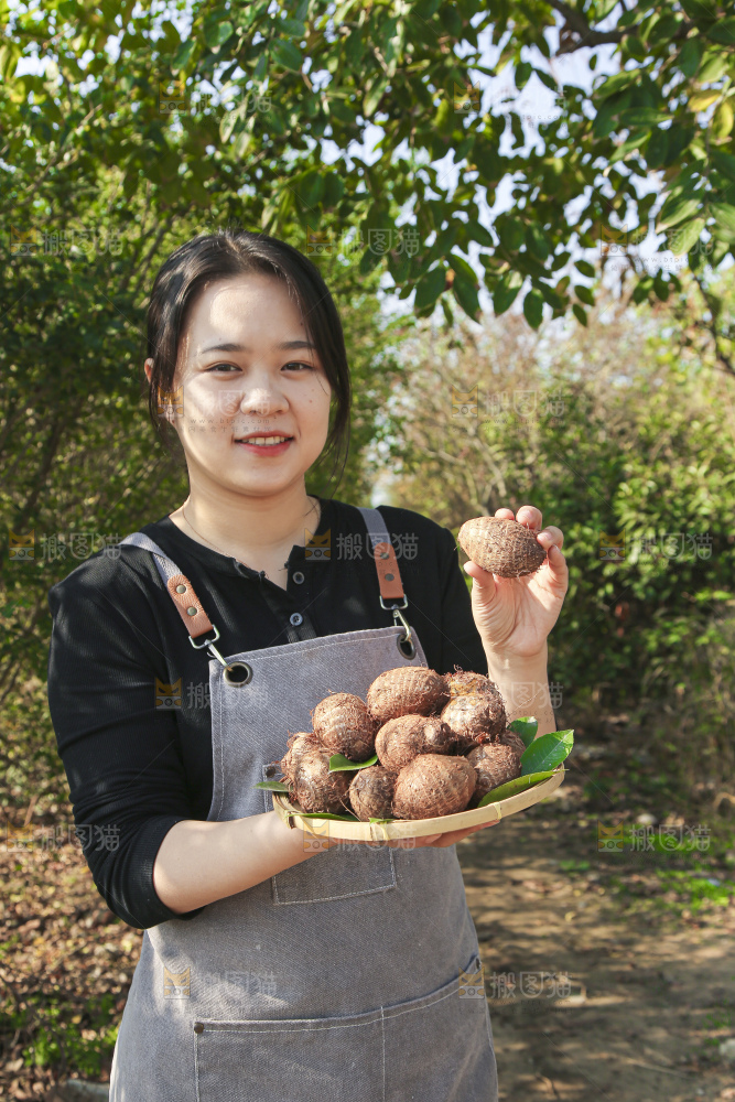 手里拿着新鲜小芋头