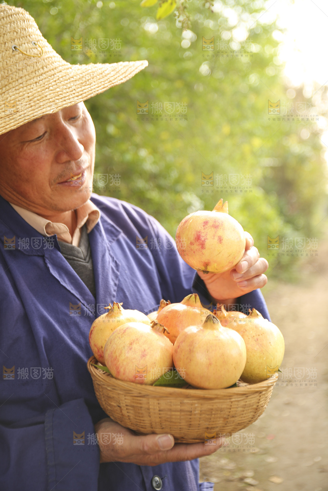 手里拿着蒙自石榴
