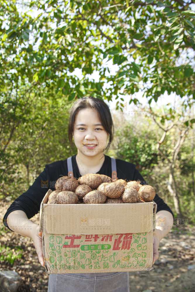 手里拿着新鲜小芋头