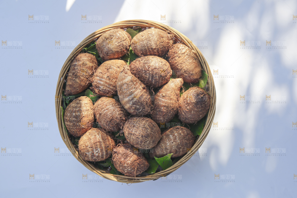 浅底上的新鲜小芋头
