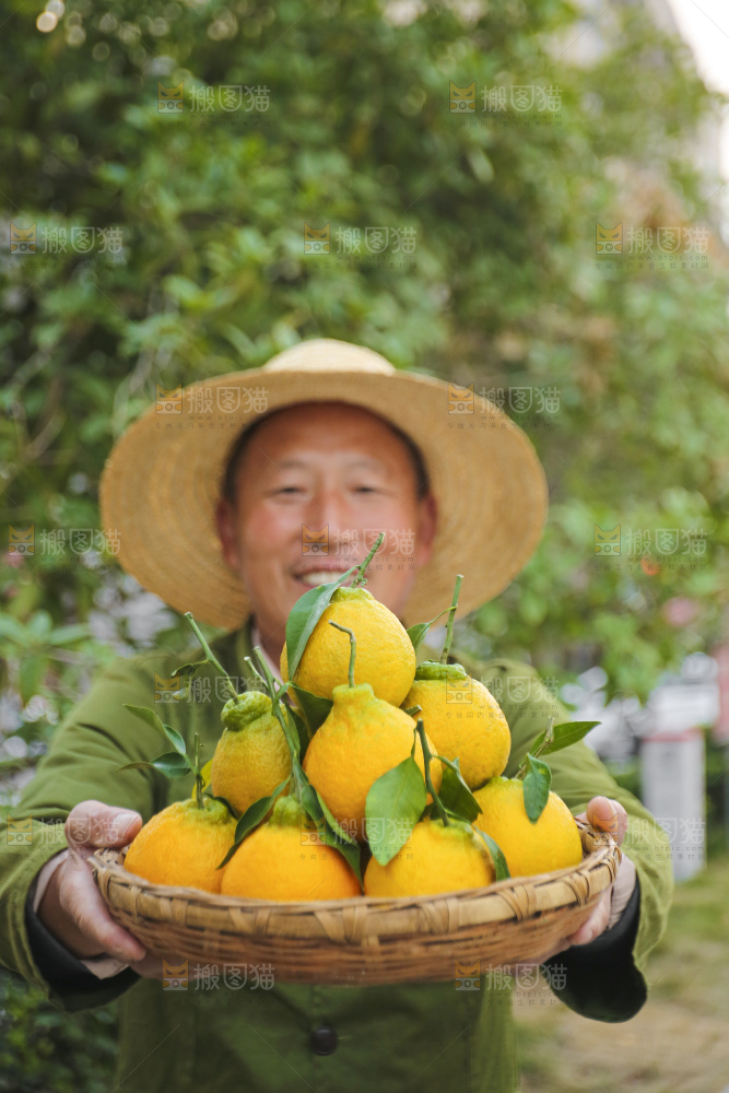 手里拿着丑八怪
