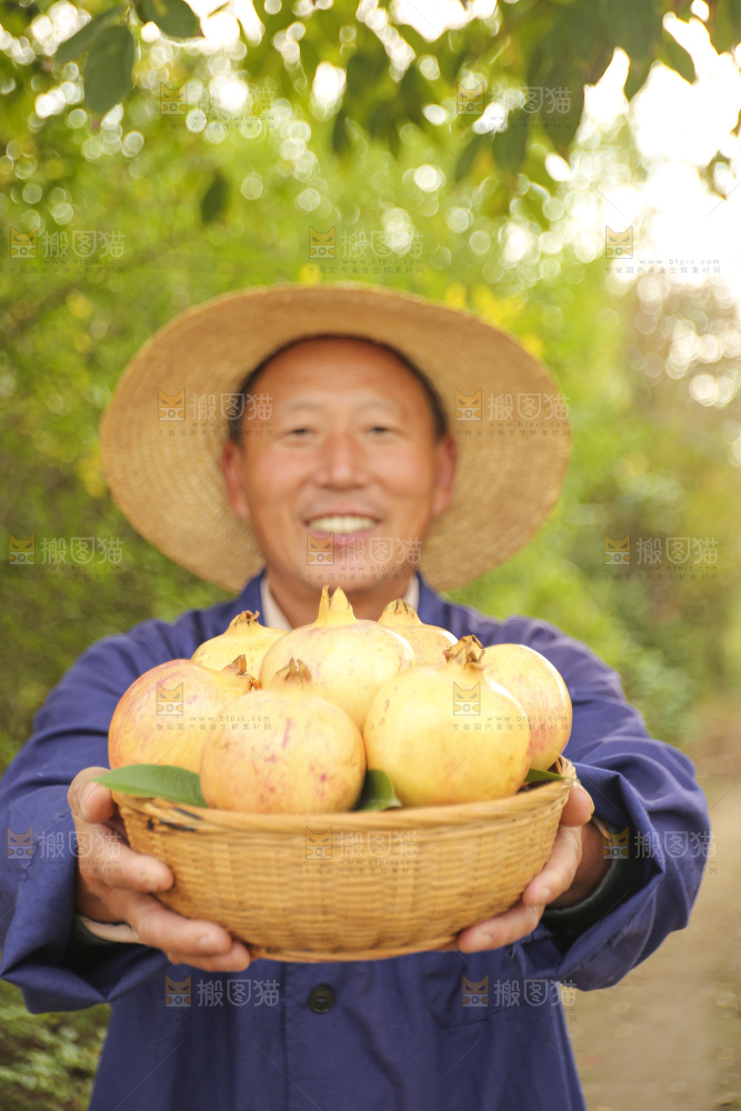 手里拿着蒙自石榴