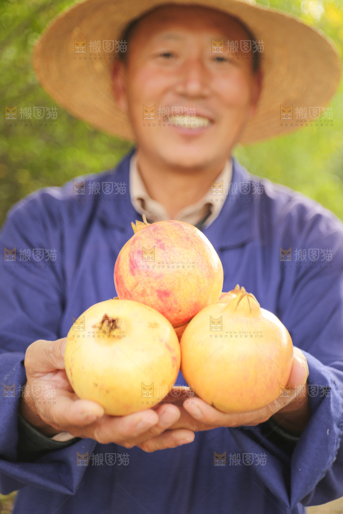手里拿着蒙自石榴