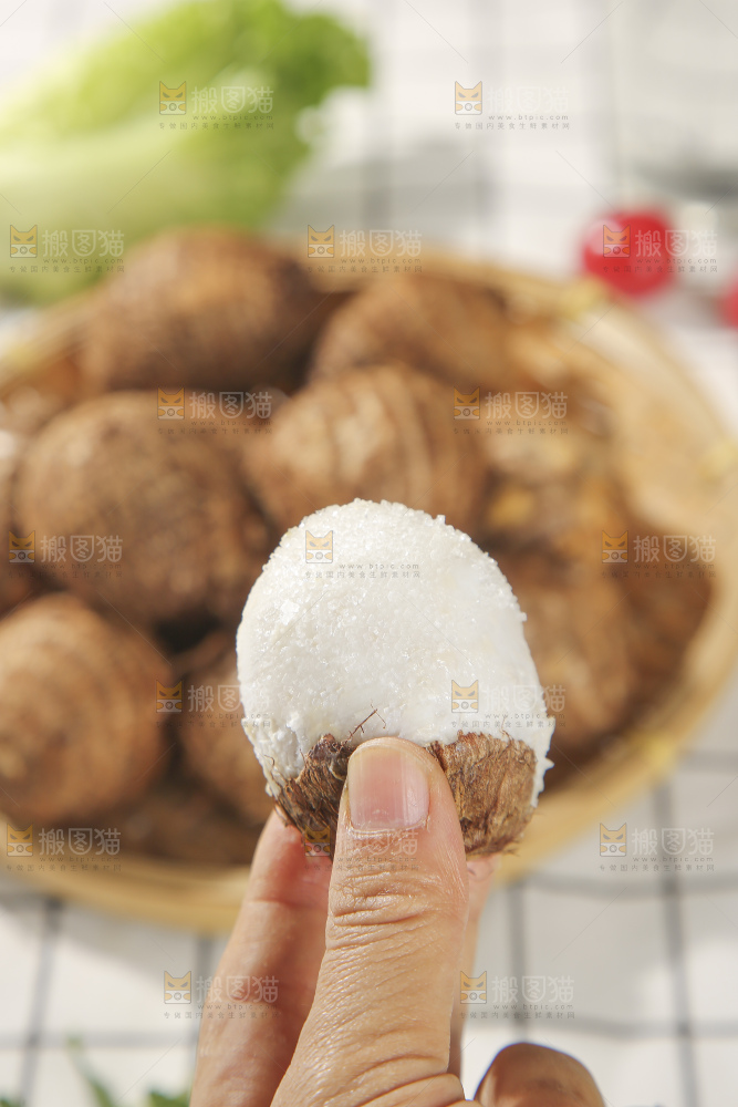 浅底上的新鲜小芋头
