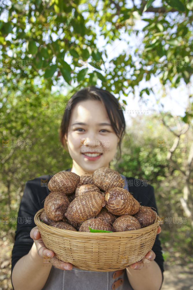 手里拿着新鲜小芋头