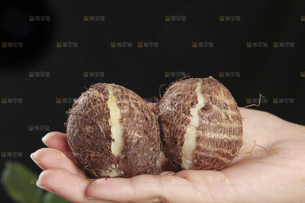 深底上的新鲜小芋头