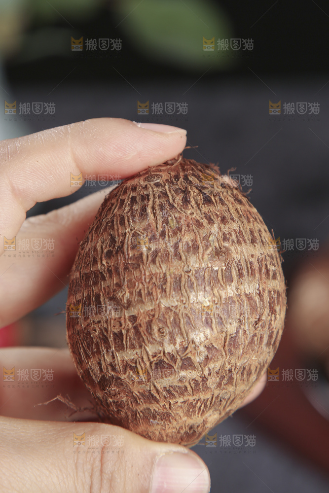 深底上的新鲜小芋头