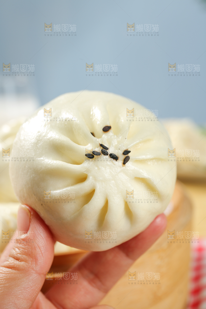 浅底上的牛肉包子