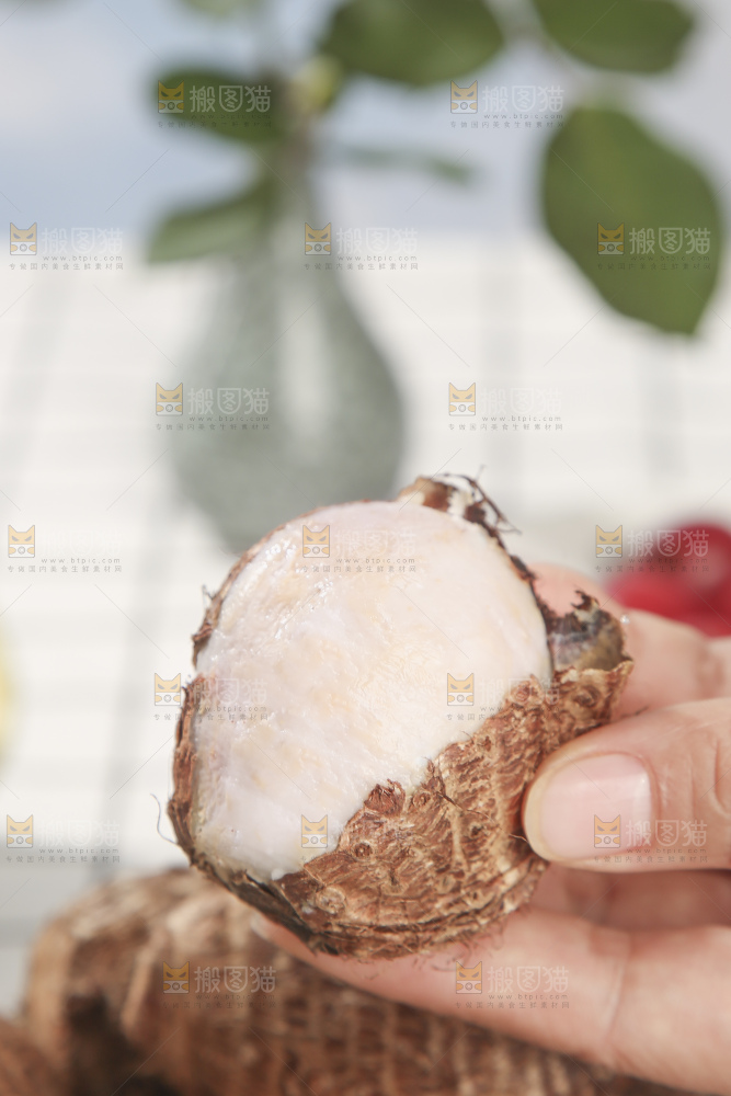 浅底上的新鲜小芋头