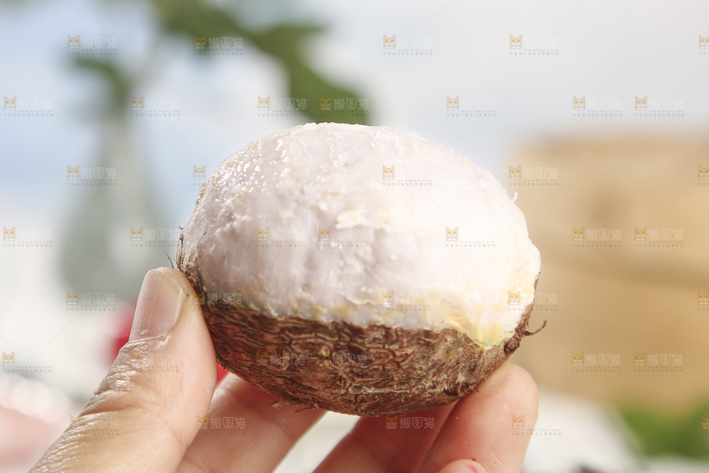 浅底上的新鲜小芋头