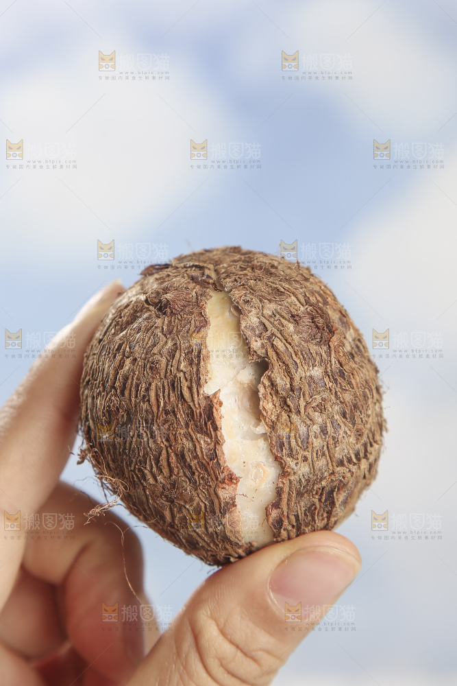 浅底上的新鲜小芋头