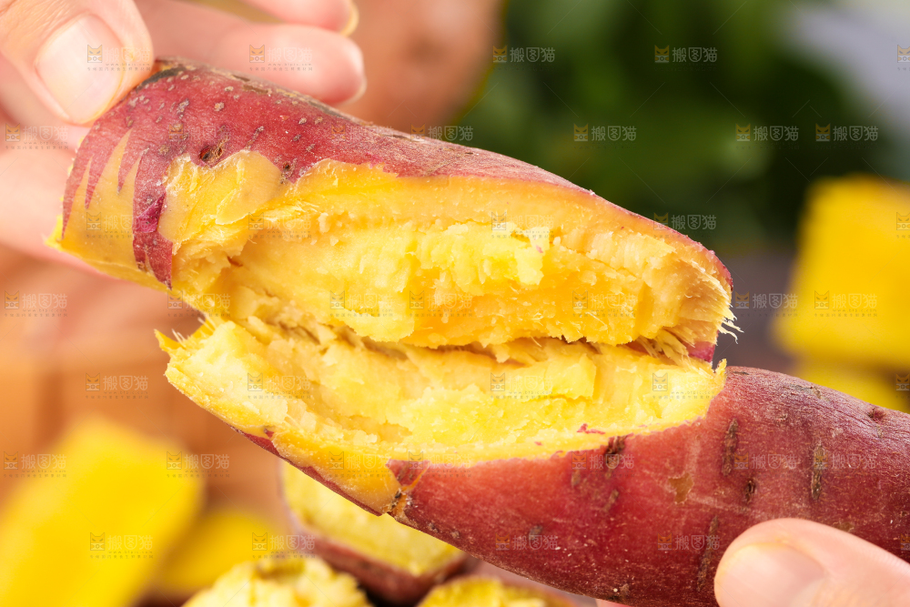 深底上的板栗红薯