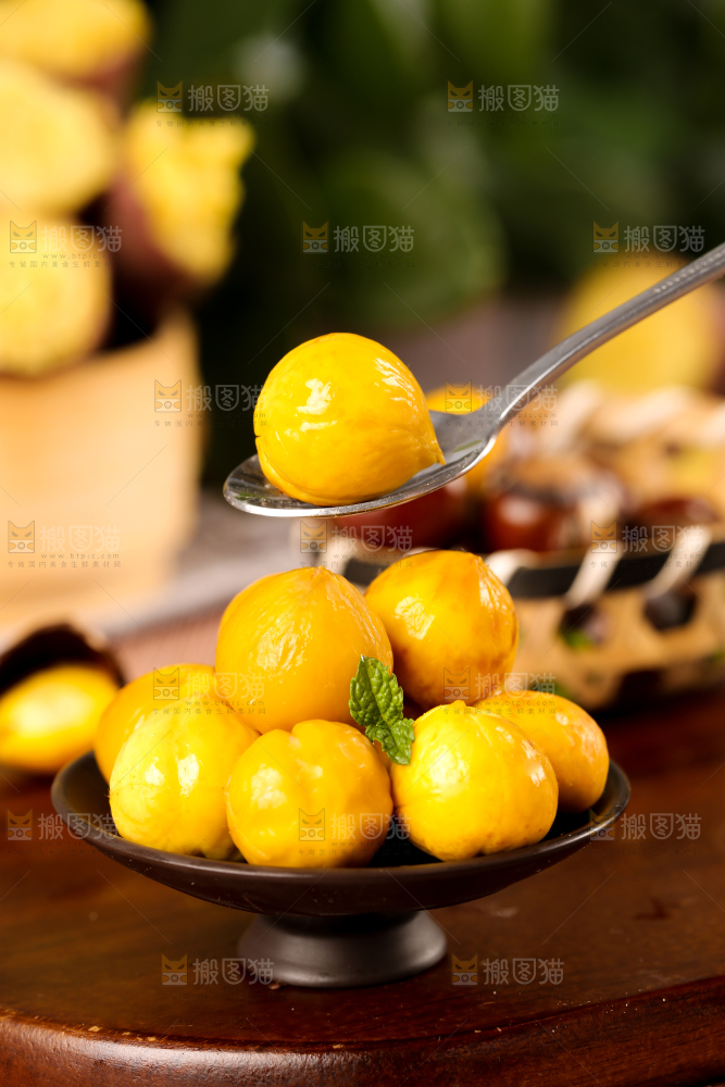 深底上的油锥栗