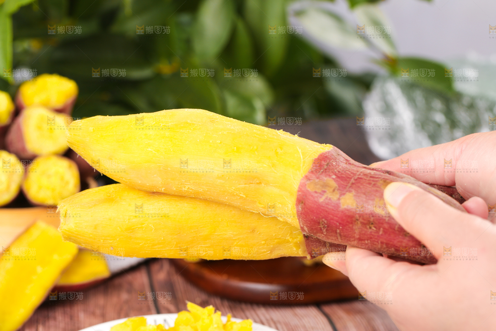 深底上的板栗红薯