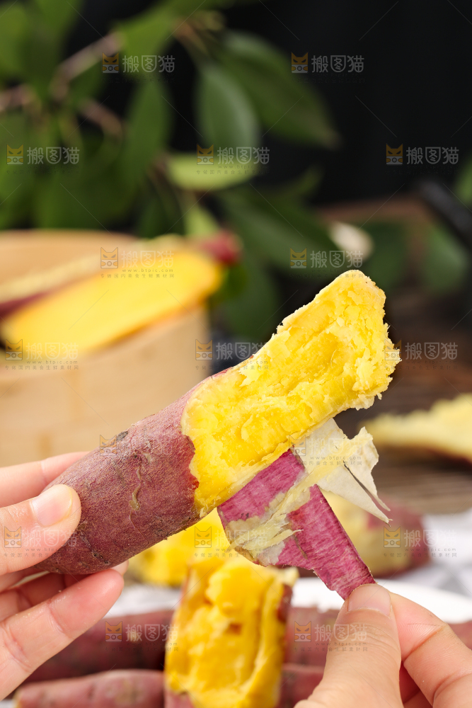 深底上的板栗红薯