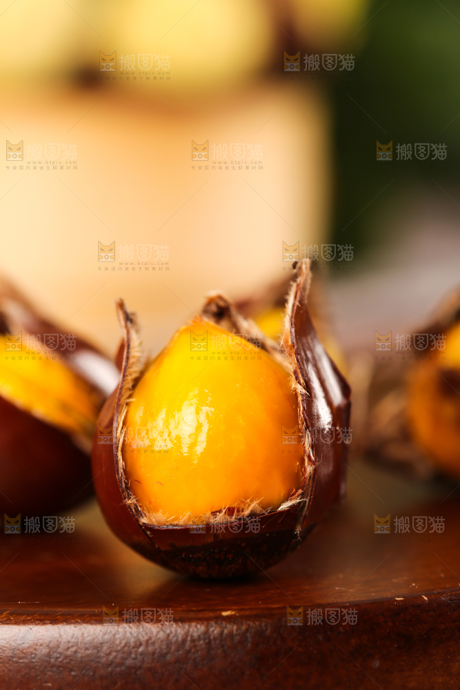 深底上的油锥栗